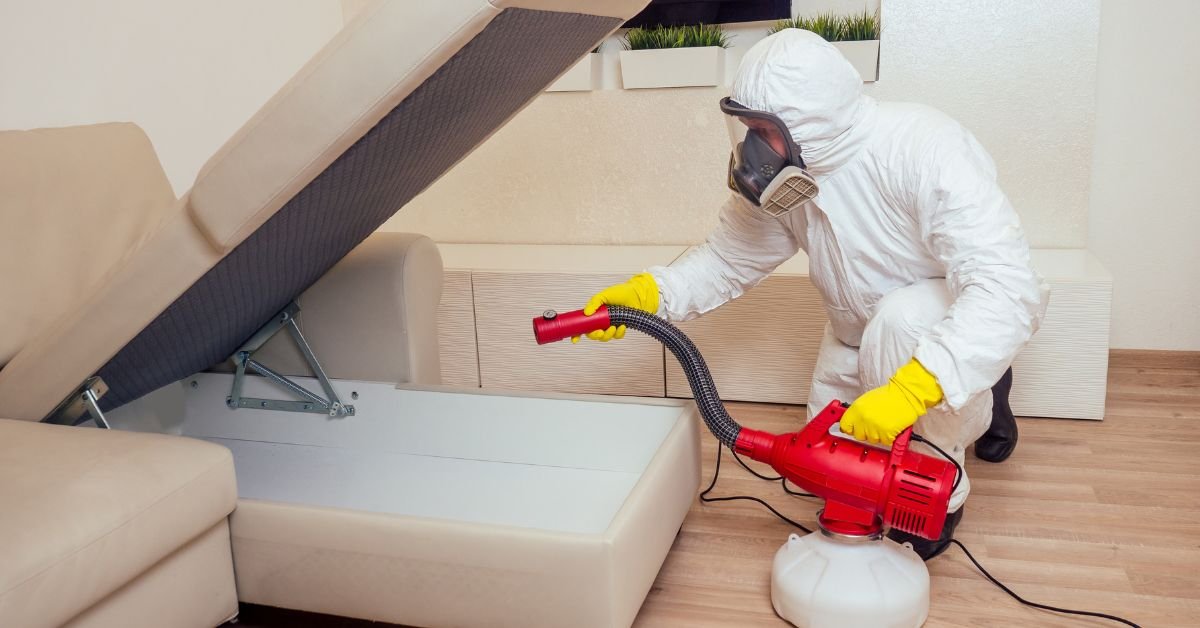 Pest Control Worker in Uniform Spraying Pesticides under Couch in Living Lounge Room (Choosing Pet-Friendly Rodent Control Solutions)