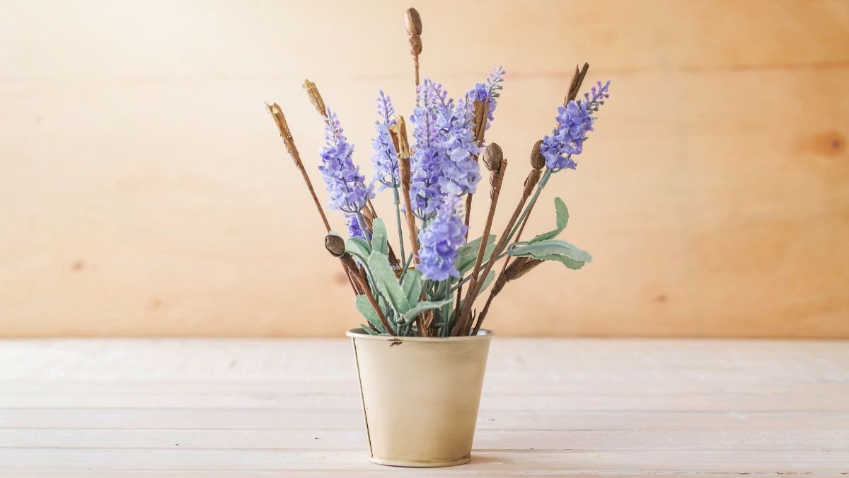 A bouquet of statice and caspia flowers, featuring soft purple statice blooms and delicate, wispy caspia in a textured arrangement.