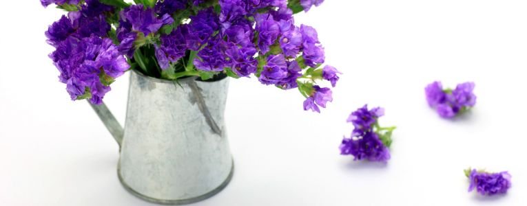 A cluster of blue statice flowers arranged in a steel mug, with delicate petals contrasting against the metallic surface.